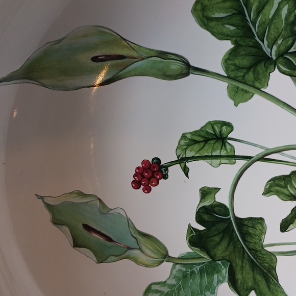 Large Studio Nova Bowl Garden Bloom - Picture 8 of 8